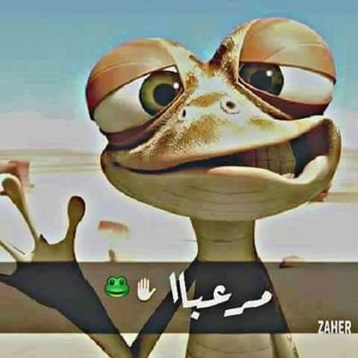 Profile Picture of Eyad Hammad (@hammad_eyad) on Twitter