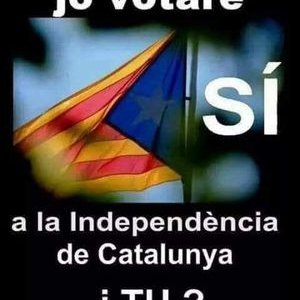 Profile Picture of Albert Tomàs Capella (@AlbertToms6) on Twitter