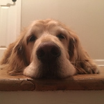 Profile Picture of Christopher Burch (@canadaman005) on Flickr