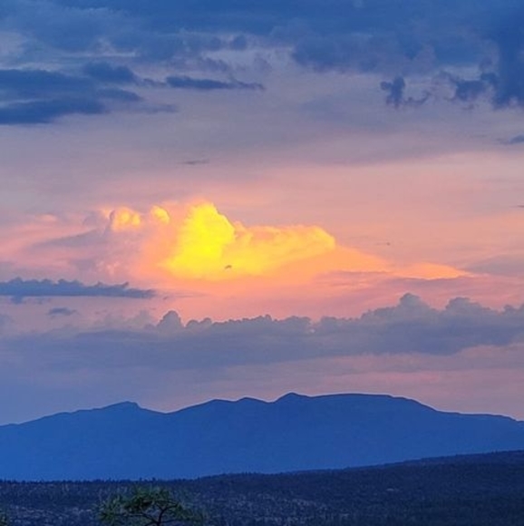 Profile Picture of Caren Himmesoete (@chimmesoete) on Poshmark