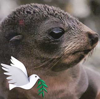 Profile Picture of Janette Cain (@janette.cain.3) on Facebook