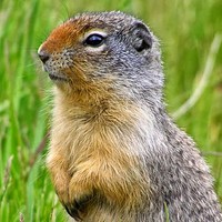 Profile Picture of Kevin Gillette (@kevin-gillette-1) on Quora