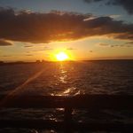 Profile Picture of Barry Dillard (@barry.dillard) on Instagram