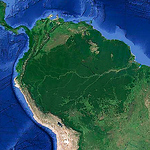 Profile Picture of El Naturalista Per L'amazonia (@158 anys despres de henry walter bates) on Flickr