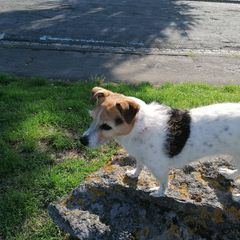 Profile Picture of Deborah Higgins (@deborahhiggins07) on Tiktok