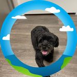 Profile Picture of Laurie Nuckols (@laurienuckols) on Instagram