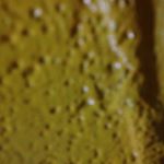 Profile Picture of Alex Richard Wegner Wegner (@alexwegner33) on Instagram