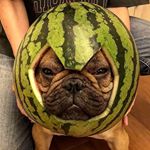 Profile Picture of 22🖤 (@benjamin_polito) on Instagram