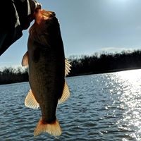 Profile Picture of Marc Davenport (@marc-davenport-7) on Quora