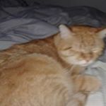 Profile Picture of Cecelia Hudson (@cecelia.hudson.77) on Instagram