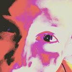 Profile Picture of ČERNÍK ROBERT (@bobicernik) on Instagram