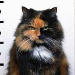 Profile Picture of David Purves (@purves_dave) on Twitter