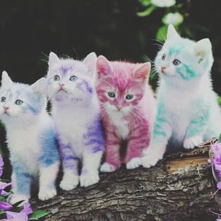 Profile Picture of Chloe Mullins (@mullinschloe) on Instagram