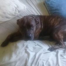 Profile Picture of Stefan Kozma (@stefanhkozma) on Twitter