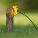 Profile Picture of Giggi Wigren (@Giggi-Wigren) on Facebook