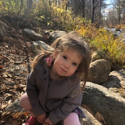 Profile Picture of Michael Stach (@MichaelStach4) on Twitter