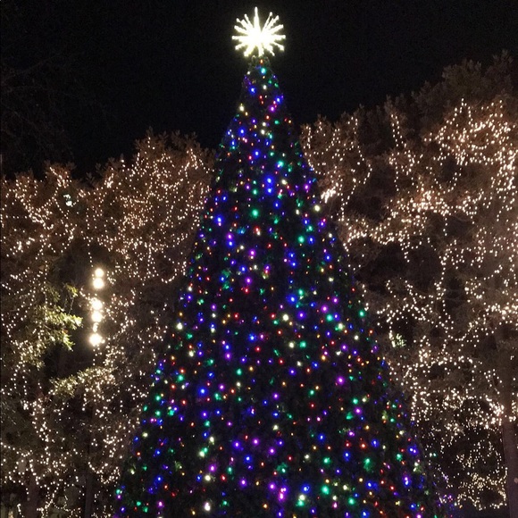 Profile Picture of Phea Leng (@phealeng) on Poshmark