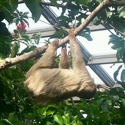 Profile Picture of Geoff Schwartz (@geofferoo) on Twitter
