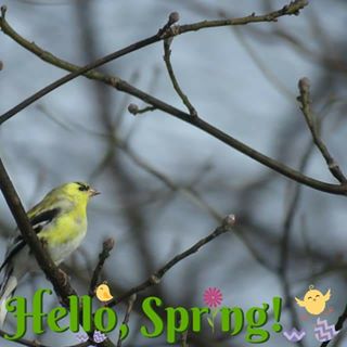 Profile Picture of Joe Rybczyk (@joe.rybczyk) on Facebook