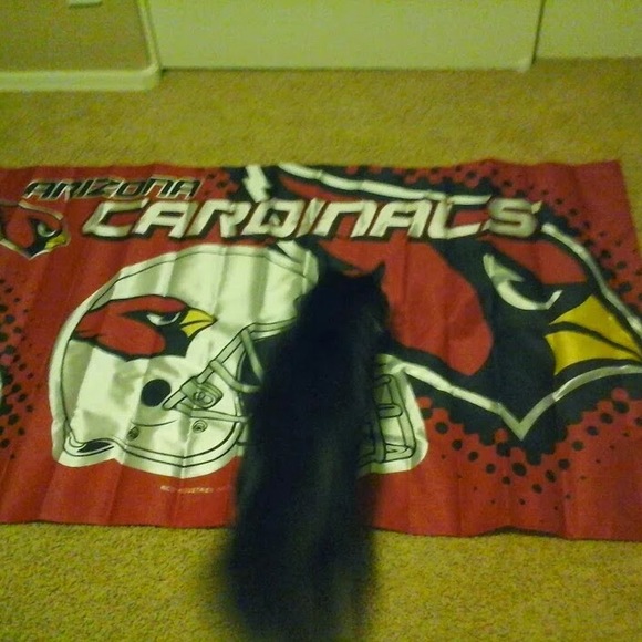 Profile Picture of Chase Goodwin (@012robert17) on Poshmark