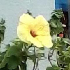 Marilyn Borges - Twitter Profile Picture of Marilyn Borges (@mab_marilyn) on Twitter