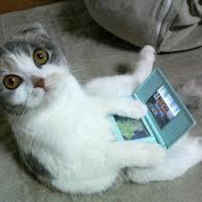 Profile Picture of Misha Mkrtumyan (@mishamkrtumyan) on Twitter