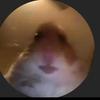 Profile Picture of Austin Huff (@@xp_spe3dy) on Tiktok