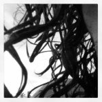 Profile Picture of Victor Emmanuel (@verc) on Instagram