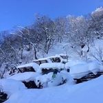 Profile Picture of Jacob Seefeldt (@jacobseefeldt) on Instagram