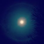 Amanda Caufman-Eason - Instagram Profile Picture of Amanda Caufman-Eason (@caufmaneason) on Instagram