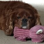 Harley Michael Lowe - Instagram Profile Picture of Harley Michael Lowe (@rlx_reflex) on Instagram