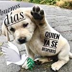 Profile Picture of Jose Serafin (@jose.serafin.31392) on Instagram