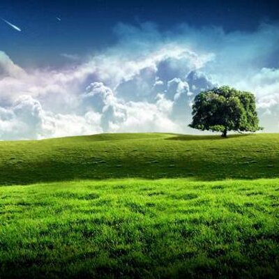 Profile Picture of Cynthia Ordaz (@zadro_aihtnyc) on Twitter