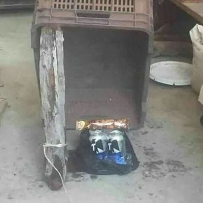 Profile Picture of Jose Turrubiates (@JoseTurrubiate8) on Twitter