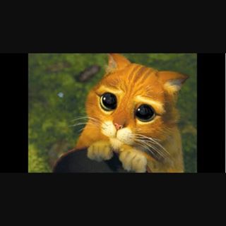 Profile Picture of Sharon Grant (@sharon.grant.7528610) on Facebook