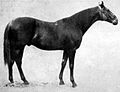 Profile Picture of Bona Vista - Wikipediaon Wikipedia