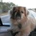Profile Picture of Mike Felicetty (@mike.felicetty) on Facebook