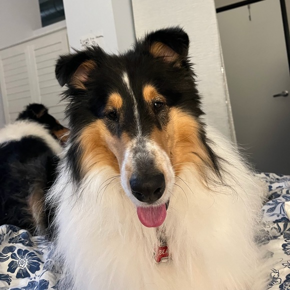 Profile Picture of Nancy Karon (@bnbboutique_) on Poshmark