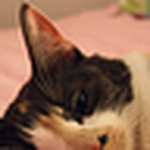 Profile Picture of Kirstyn (@kirstyn-leanne) on Flickr