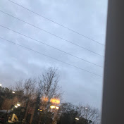 Nichelle Williams - Youtube Profile Picture of Nichelle Williams (@nichellewilliams1887) on Youtube