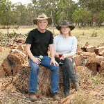 Profile Picture of Steve Kearney (@scobywhip) on Instagram