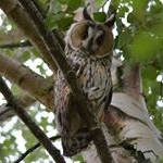 Profile Picture of Danny de Jong (@sexviper.dejong.1) on Instagram