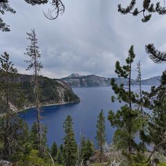 Profile Picture of marcusbrodeur (@marcusbrodeur) on Tiktok