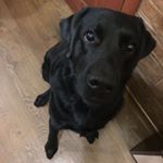 Profile Picture of Humberto Osorio Osorio (@humbertoosorioosorio) on Instagram