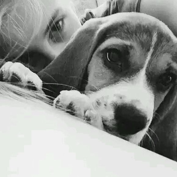 Profile Picture of Richard Graham (@alejandrayadira) on Poshmark