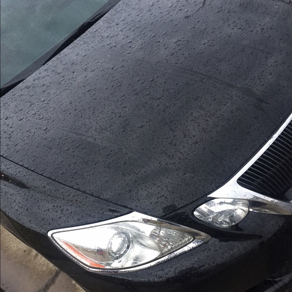 Profile Picture of Marques Quaresma (@marquesq) on Poshmark