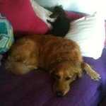 Profile Picture of Cheryl Pfeiffer Dailey (@cad2862) on Instagram