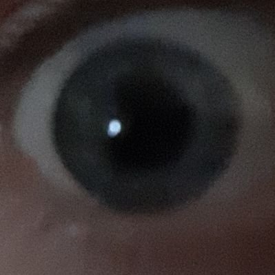 Profile Picture of Alexander Bowman (@Alexand90435321) on Twitter