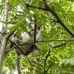 Profile Picture of WAGONER (@wagoner7xlmandy) on Instagram