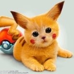 Cleo - Instagram Profile Picture of Cleo (@kittykatgalxywoah) on Instagram